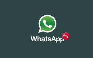 WhatsApp Gets New Solid Wallpapers