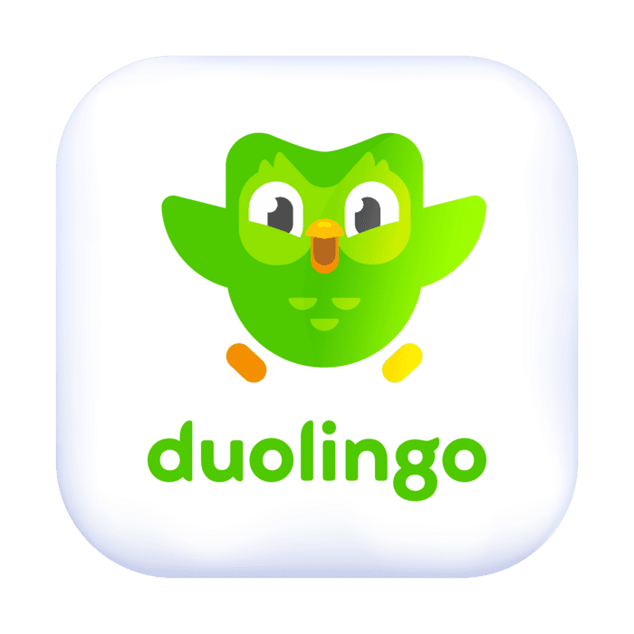 Airtel Users Can Enjoy Super Duolingo Subscription For Free duolingo logo